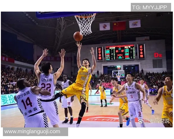 广州篮球队实力之争引发热议球迷对球队未来发展看法各异