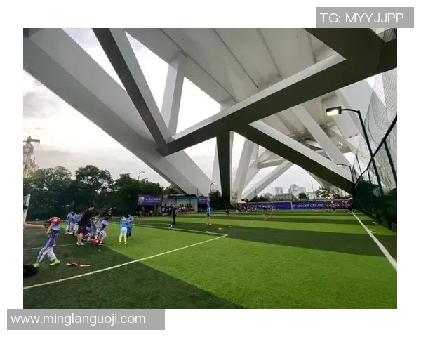 黄静独家分享飞盘技巧与心得体会助你提升游戏水平与乐趣